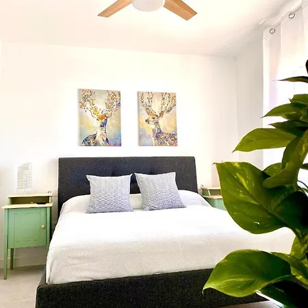 Appartement Luz De Conil Aire Acondicionado Y Wifi -solo Familias Y Parejas- *